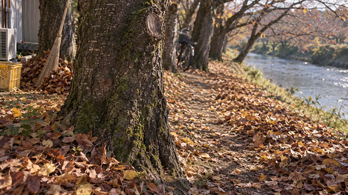 桜の幹のひび割れた樹皮に苔がつき、足もとは落ち葉で埋まっている