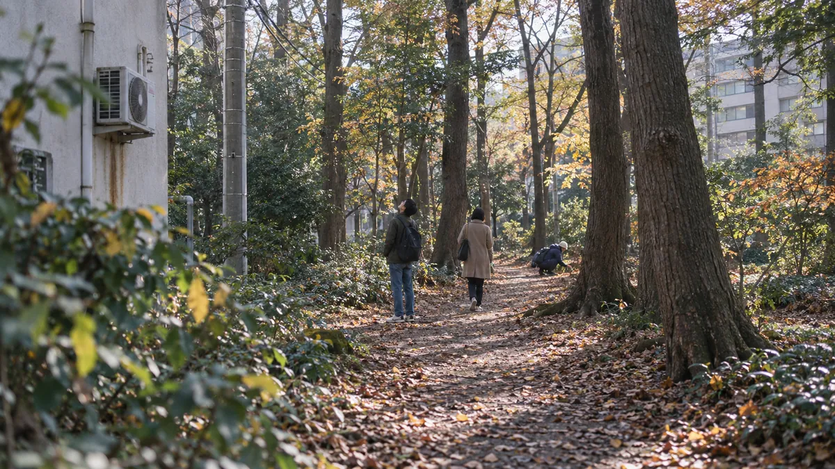 街のまんなかの、背の高い古木が密に立つ林を細い土の道が抜ける